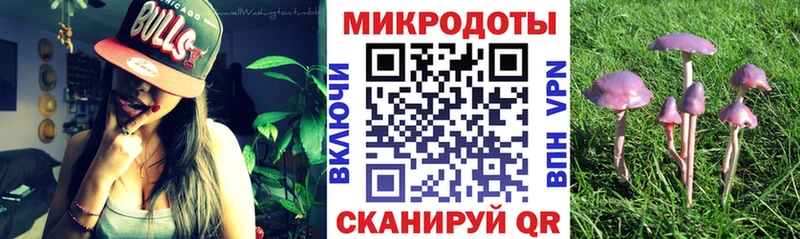 omg ссылка  это формула  Галлюциногенные грибы Psilocybe  сколько стоит  Зея 